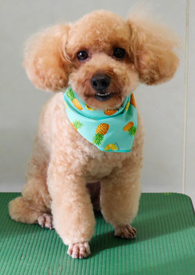 二宮モコちゃん