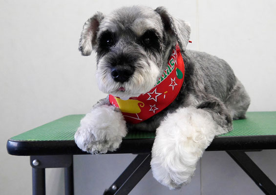 徳地ティアちゃん