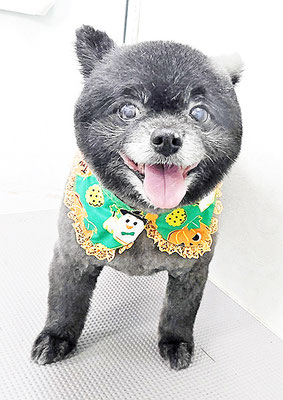 中村ウルルちゃん