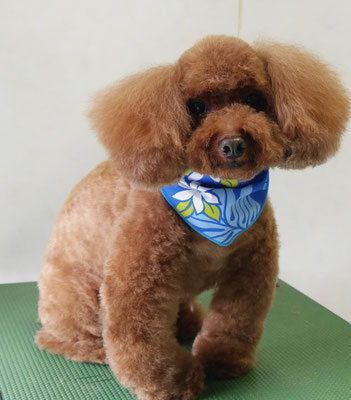 迫田りくちゃん