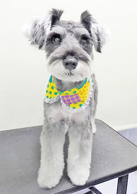 糸山そらちゃん