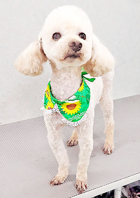 室ポン太ちゃん