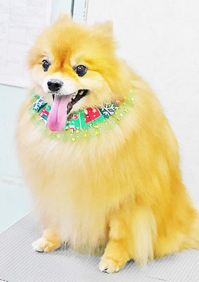大井ポンタちゃん