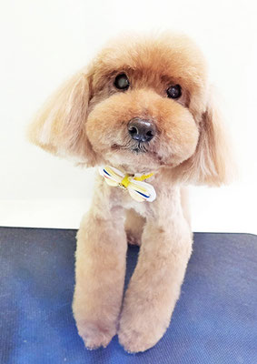 米澤ミントちゃん