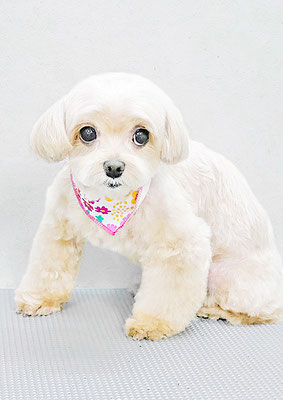 永濱サラちゃん