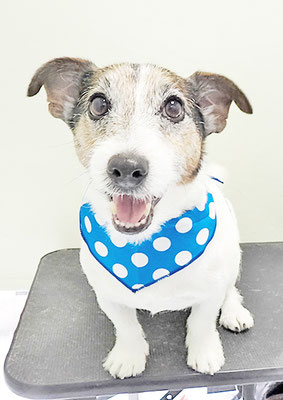 外園マロちゃん