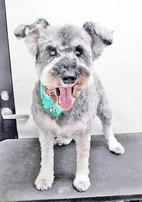 西野来斗ちゃん