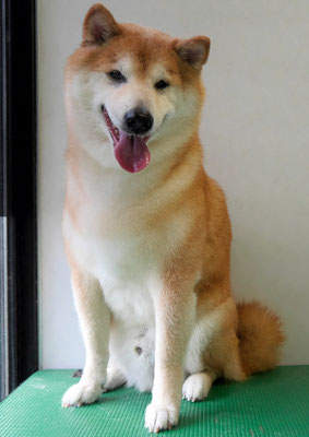 竹崎クウちゃん