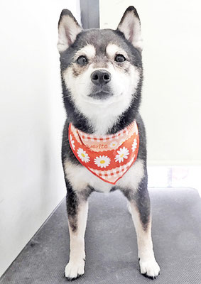 岩﨑レイちゃん