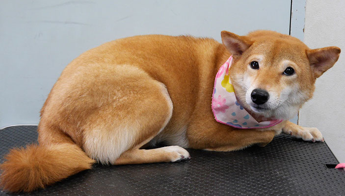 有馬コナツちゃん