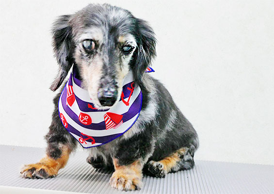 西山ユウちゃん