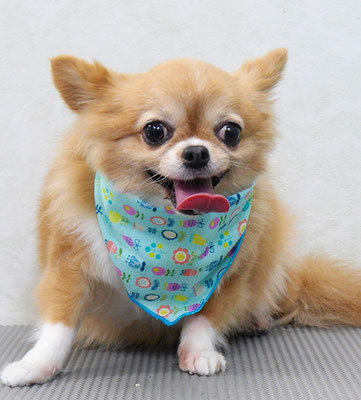 川田オカンちゃん