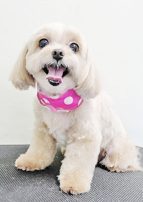 永濱サラちゃん