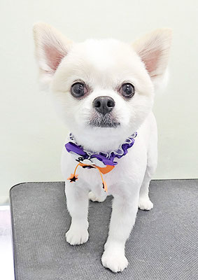 枦山れおちゃん