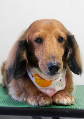 下唐湊モモちゃん