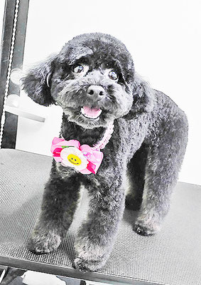 野口サニーちゃん
