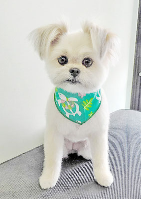 太崎ちゅらちゃん