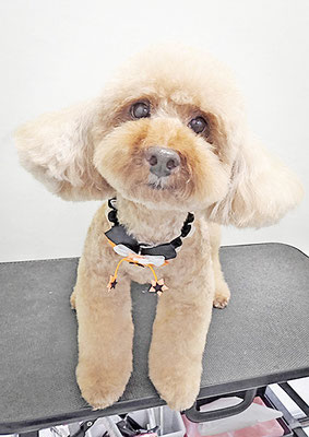 冨尾まろちゃん