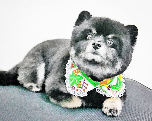 福山ポパイちゃん