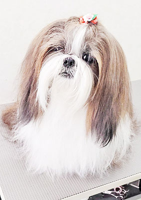 眞邉ももちゃん