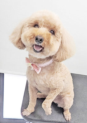 山下アンちゃん