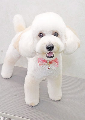 長谷ラナちゃん