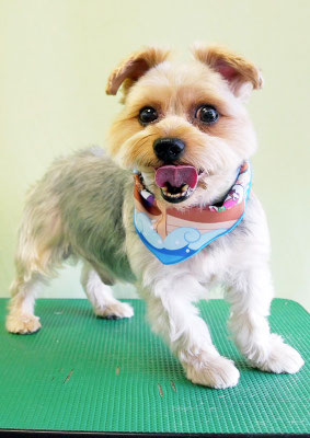 山下レオちゃん