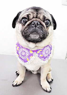 田邊ギンちゃん