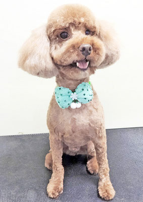 山元風介ちゃん