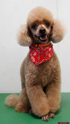 平松クーちゃん