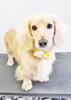 河野元気ちゃん