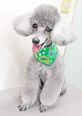 竹崎コナンちゃん