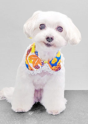 濱島クレアちゃん