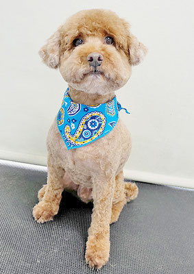 山元風介ちゃん