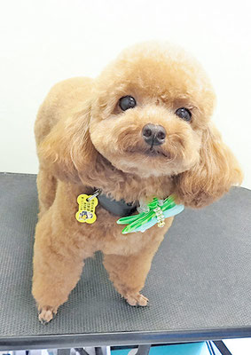 高根恒吉ちゃん