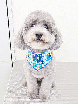 橋口最中ちゃん