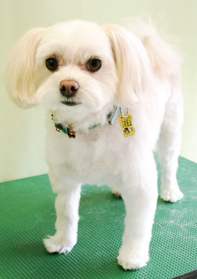 大脇ココアちゃん