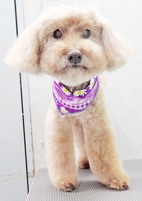 米澤ミントちゃん