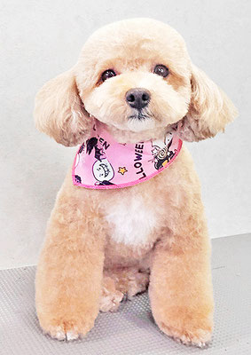 丸山小琴ちゃん