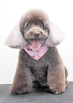 山口クレアちゃん