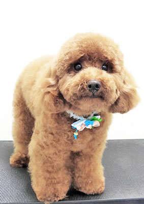 大山弦之介ちゃん