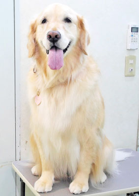 美代ジューンちゃん