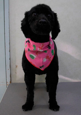 竹内すみれちゃん