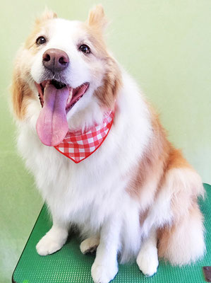 森本アンズちゃん