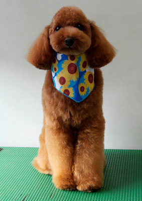 森田諭吉ちゃん