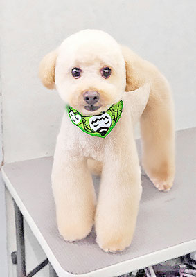 藤久保くうたちゃん