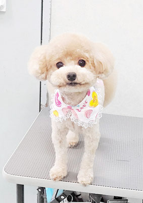 岩元チルちゃん