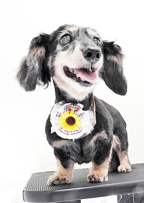 谷口チョコちゃん