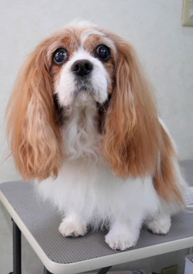 福留ジルちゃん