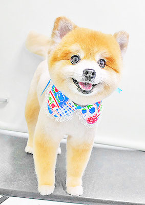神村ポン太ちゃん